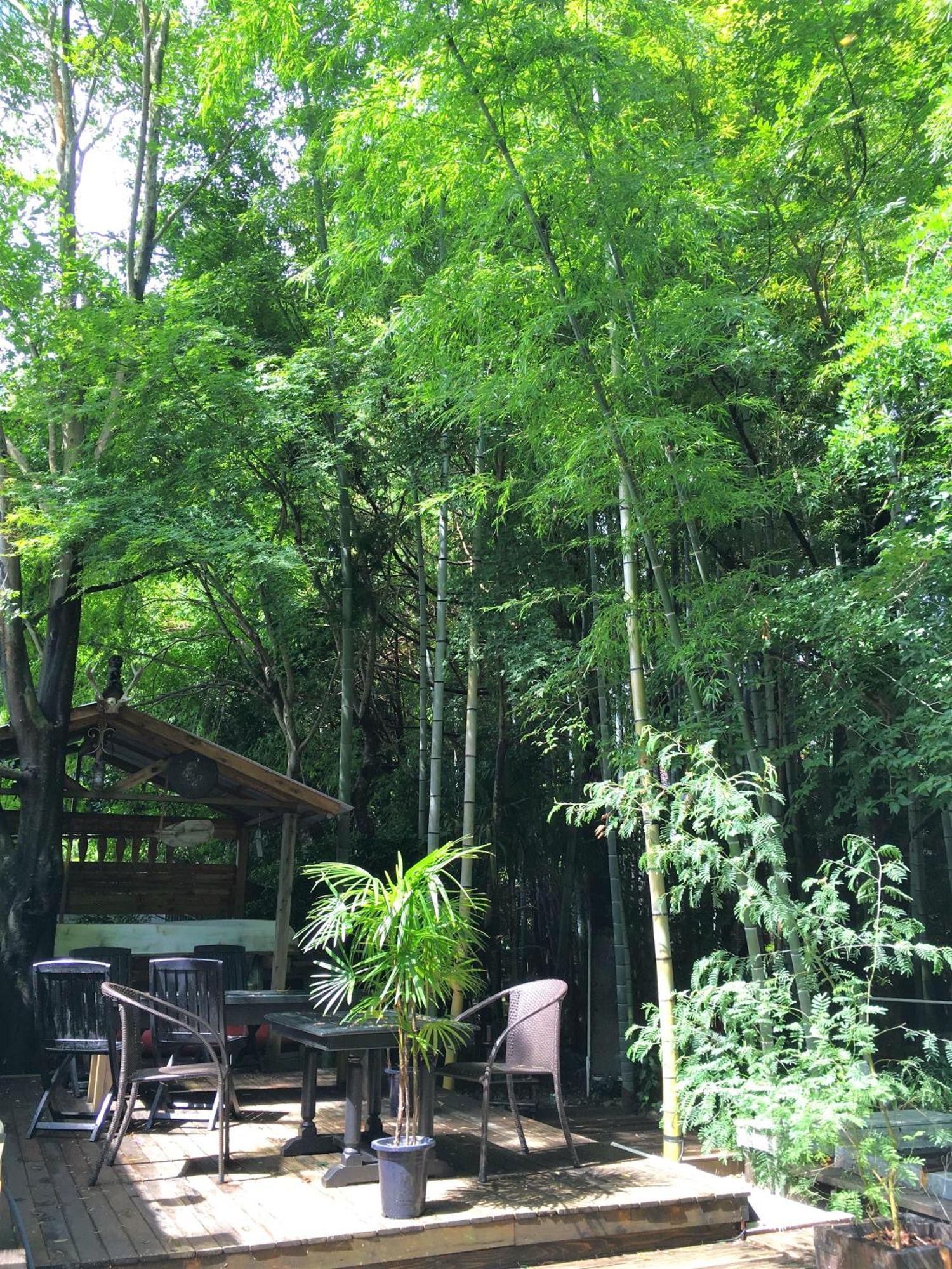 Hakone Mori No Yado Hotel Exterior photo