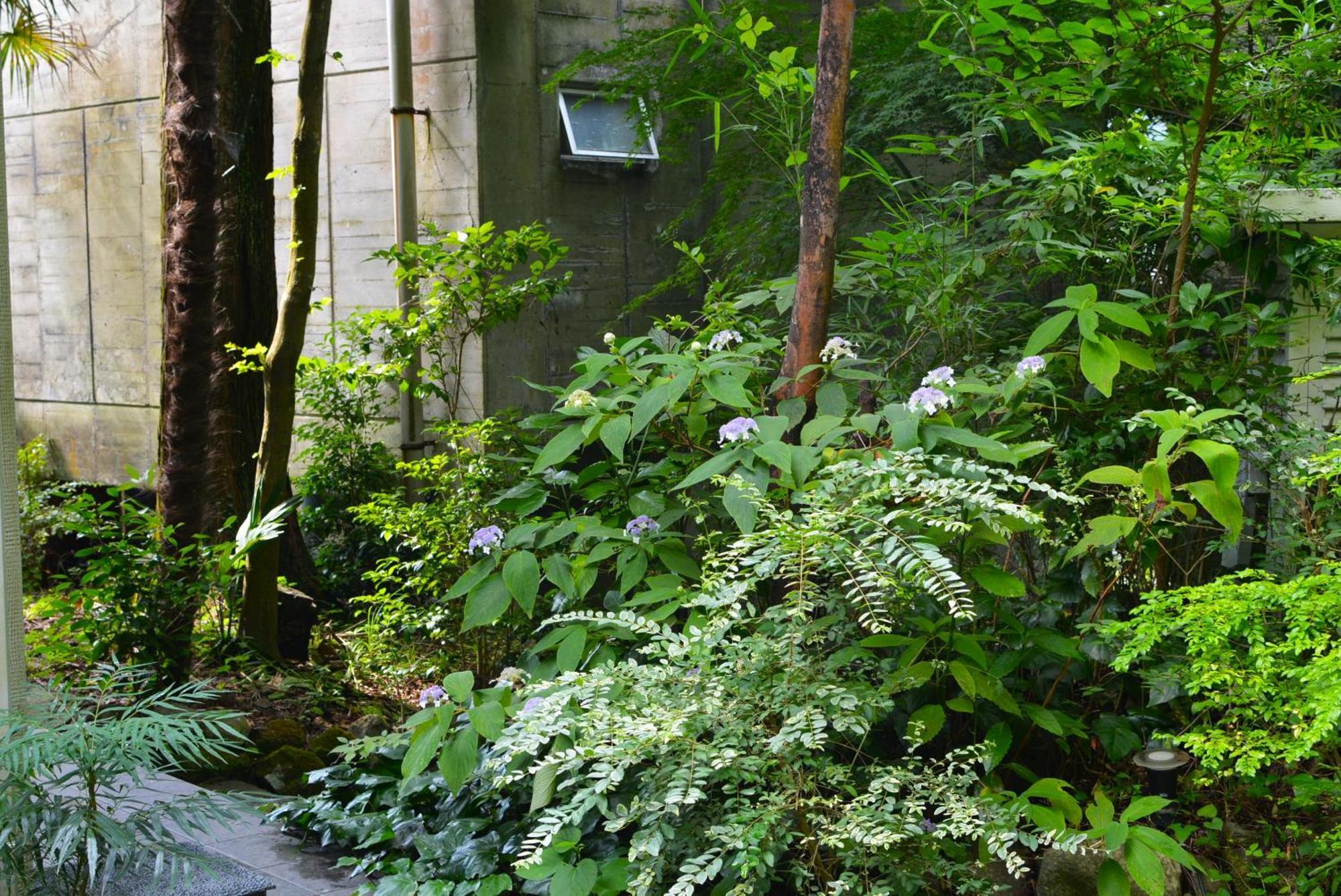 Hakone Mori No Yado Hotel Exterior photo