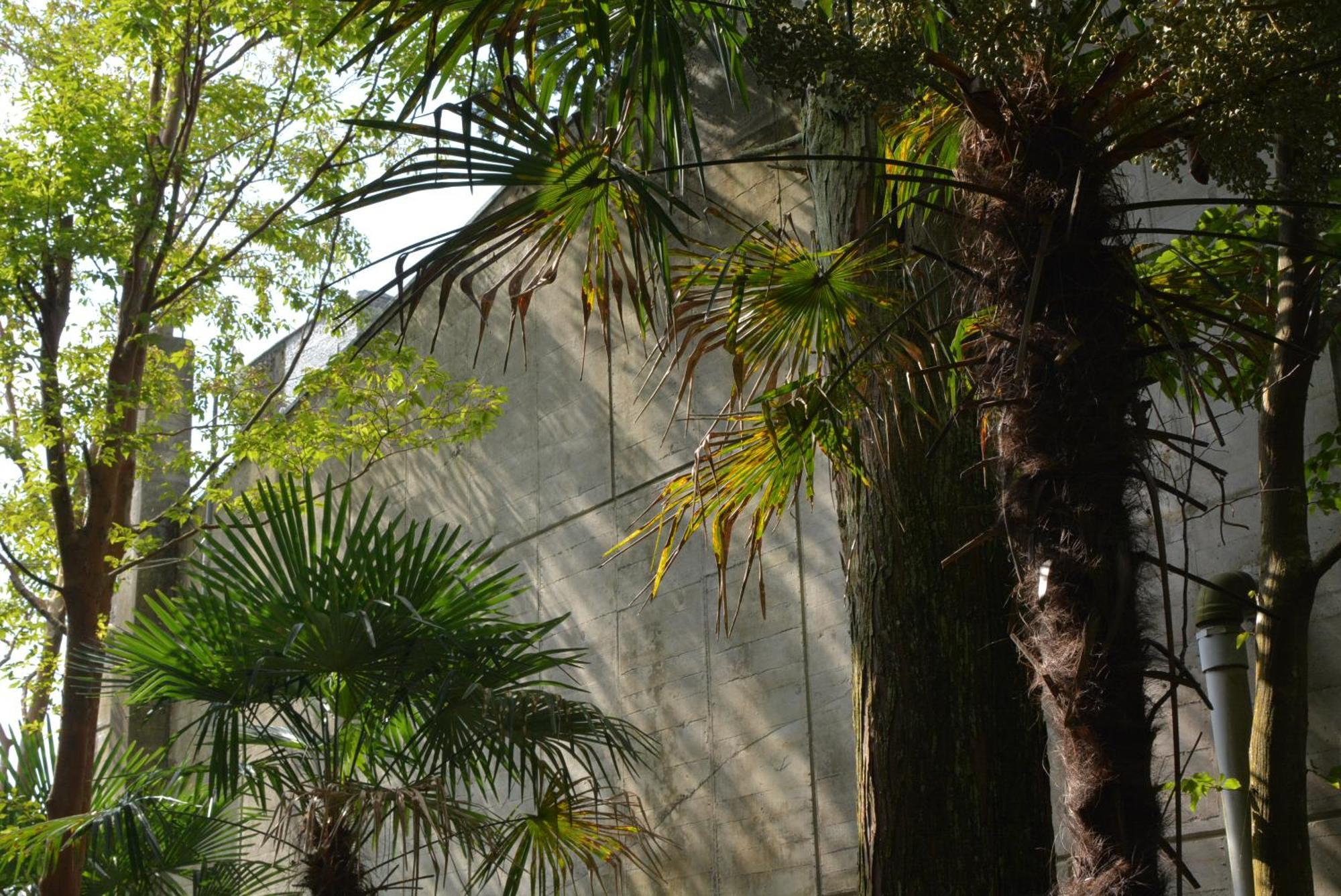 Hakone Mori No Yado Hotel Exterior photo